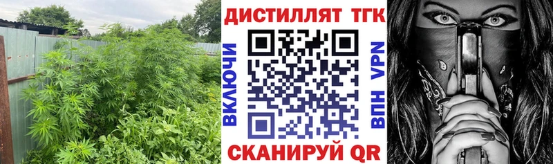 ТГК вейп с тгк  Купить где  Юрьевец 